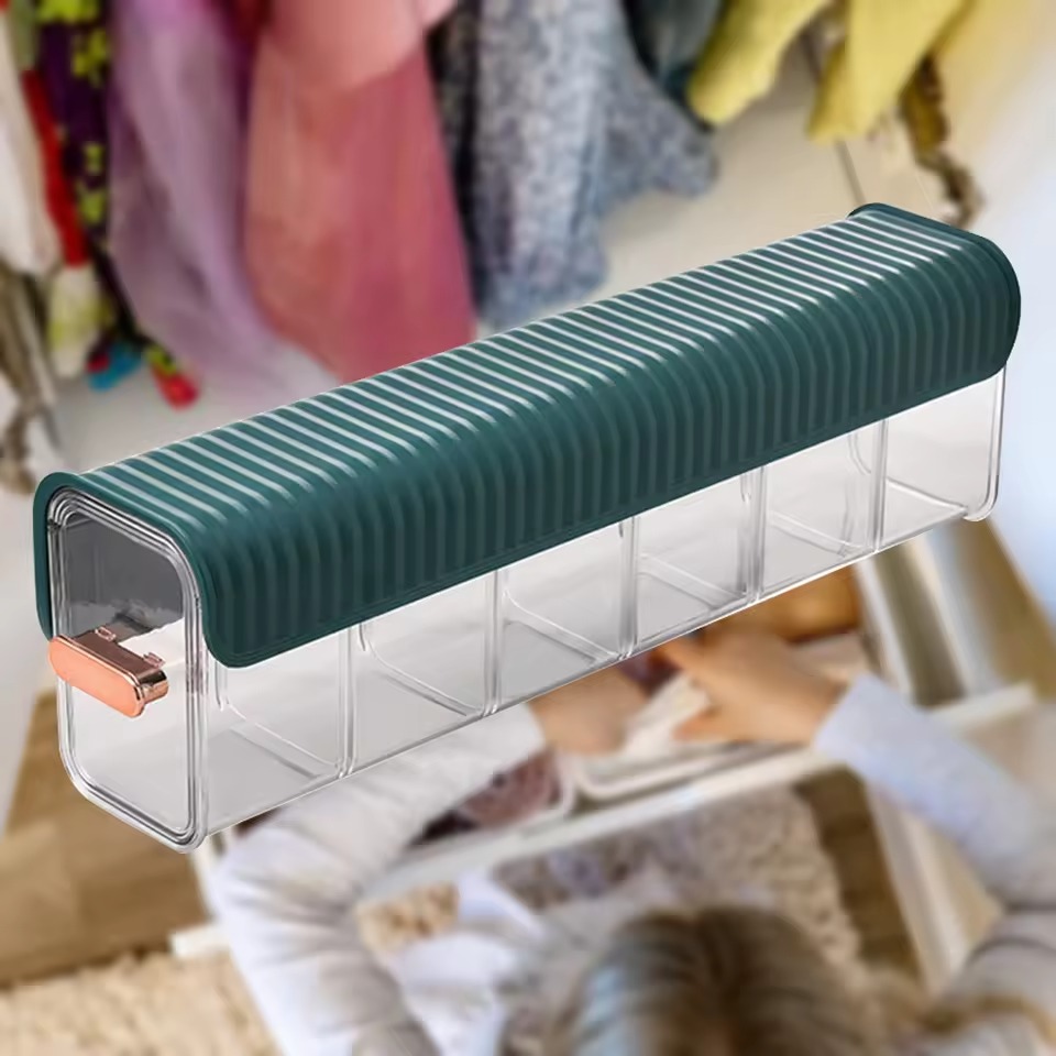 6 Grids Plastic Wall Mounted Under Garments Organizer